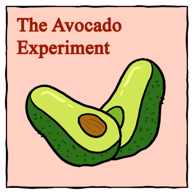 The Avocado Experiment