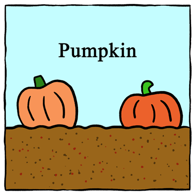 Pumpkin