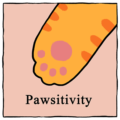 Pawsitivity